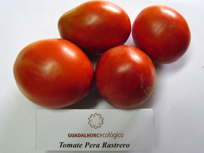 tomate guadalhorce