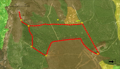 ruta ornitológica guadalhorce