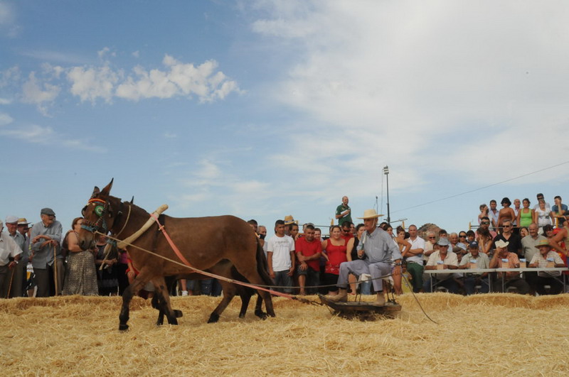 cante de la trilla