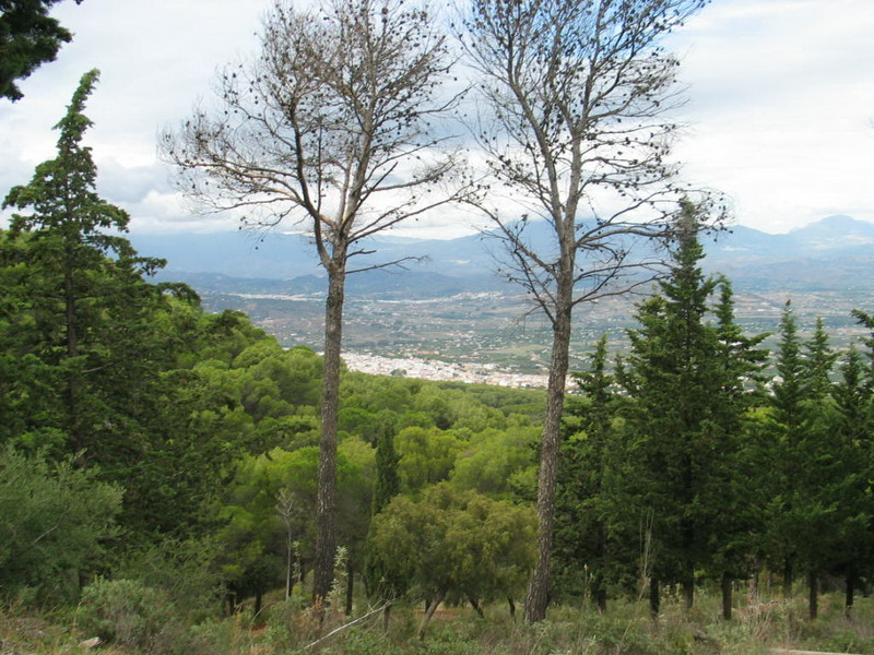 Vistas de Alhaurn